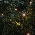 Screenshot 2025-11-25 at 10.45.50 AM